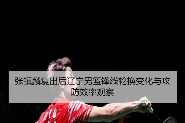 张镇麟复出后辽宁男篮锋线轮换变化与攻防效率观察